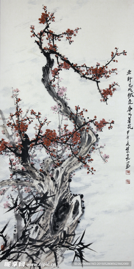 国画梅花