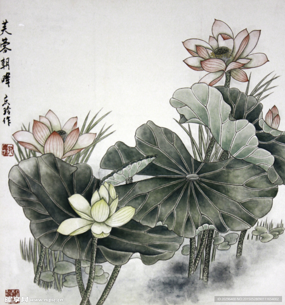 国画莲花