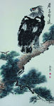 国画老鹰