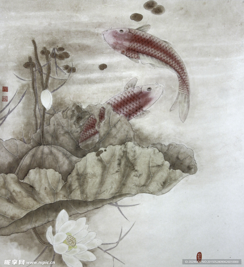 国画莲花金鱼