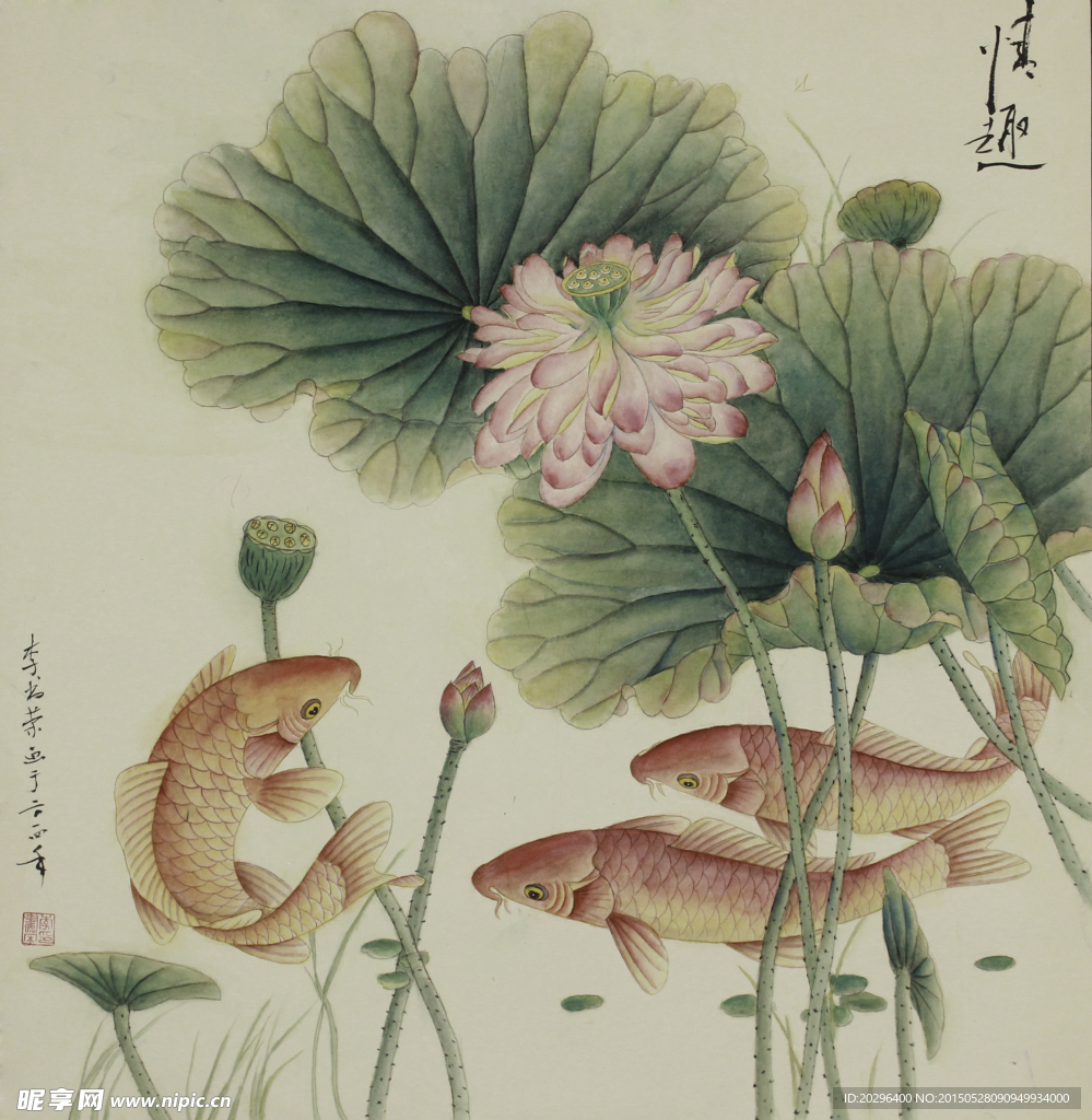 国画金鱼荷花