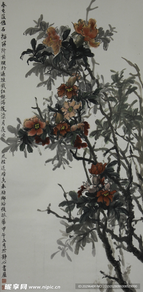 国画植物