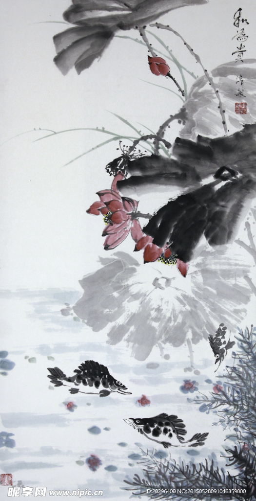 国画莲花