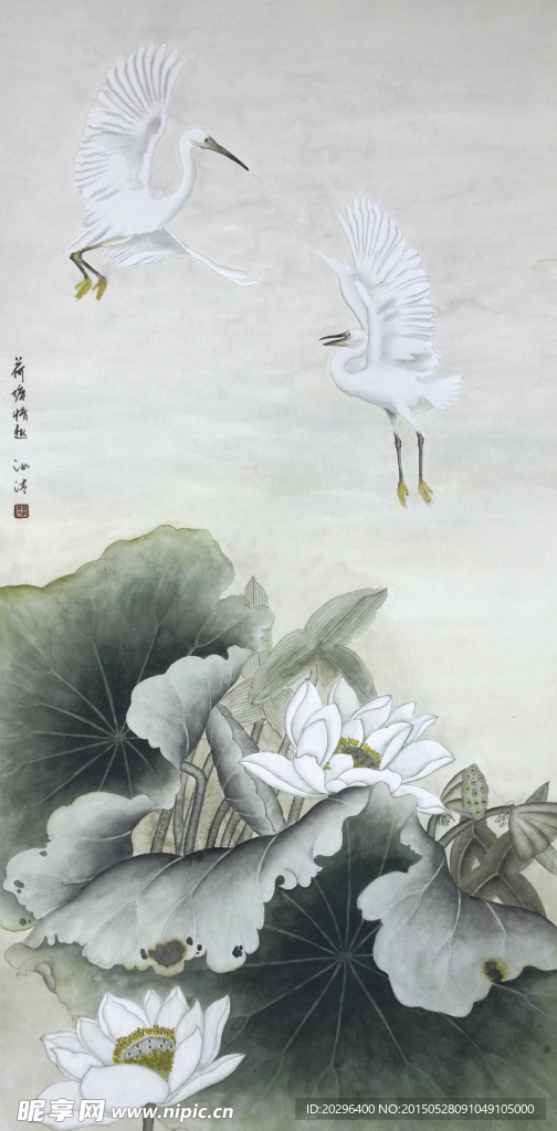 国画莲花天鹅