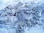 蓝冰 冰花 雪花