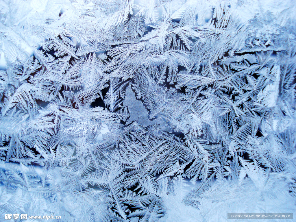 蓝冰 冰花 雪花