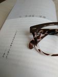 眼镜与书