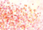 梦幻花卉