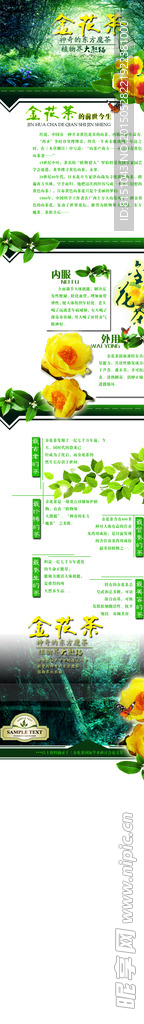 精油 网店  产品介绍