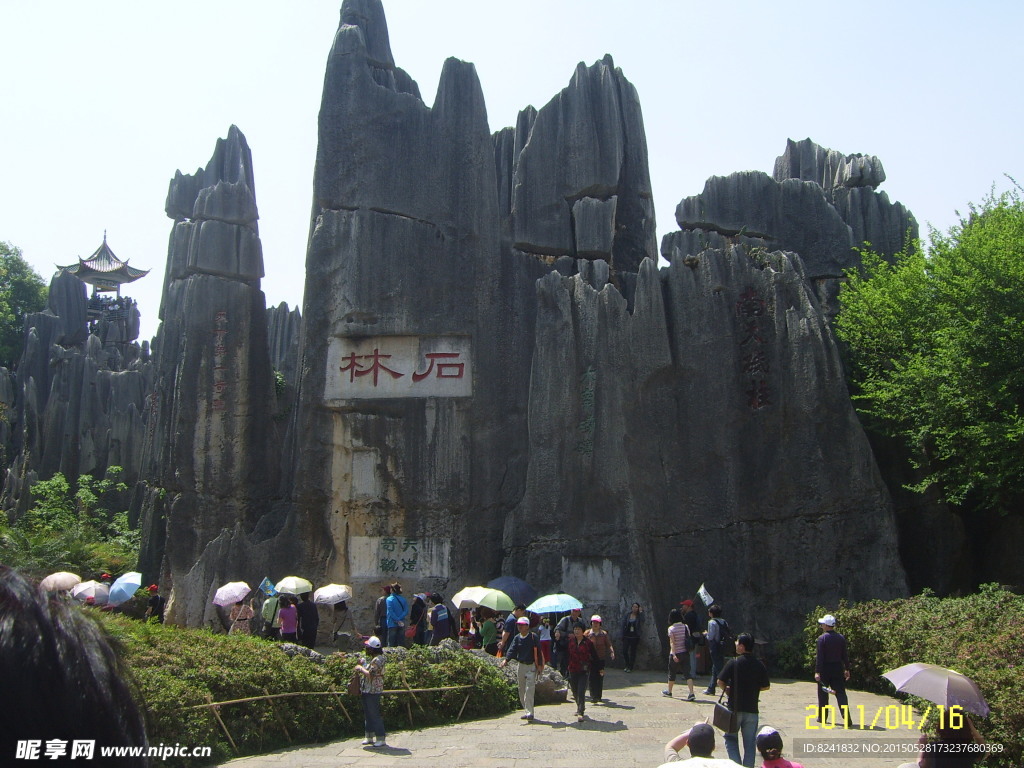 山林