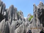山