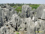 山林