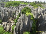 山林