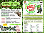 英雄联盟 军事励志 夏令营