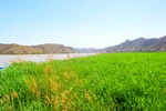 青铜峡黄河大峡谷