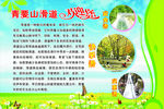青要山滑道欢迎您