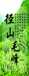 茶