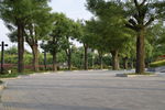 公园