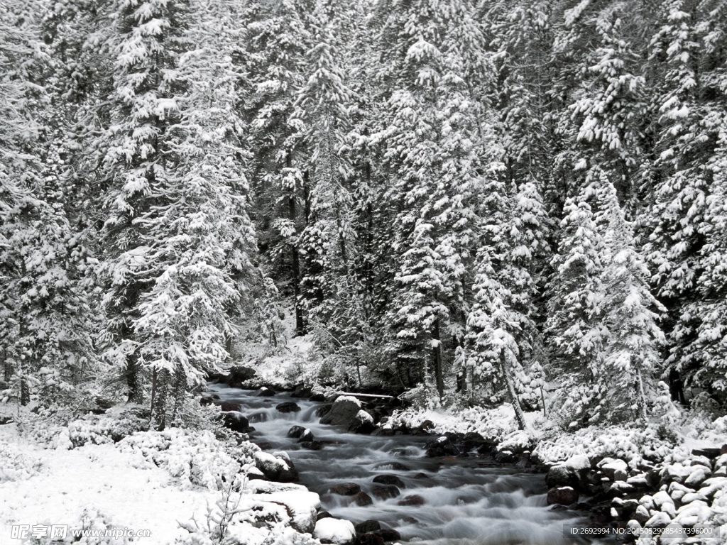 雪山雪景