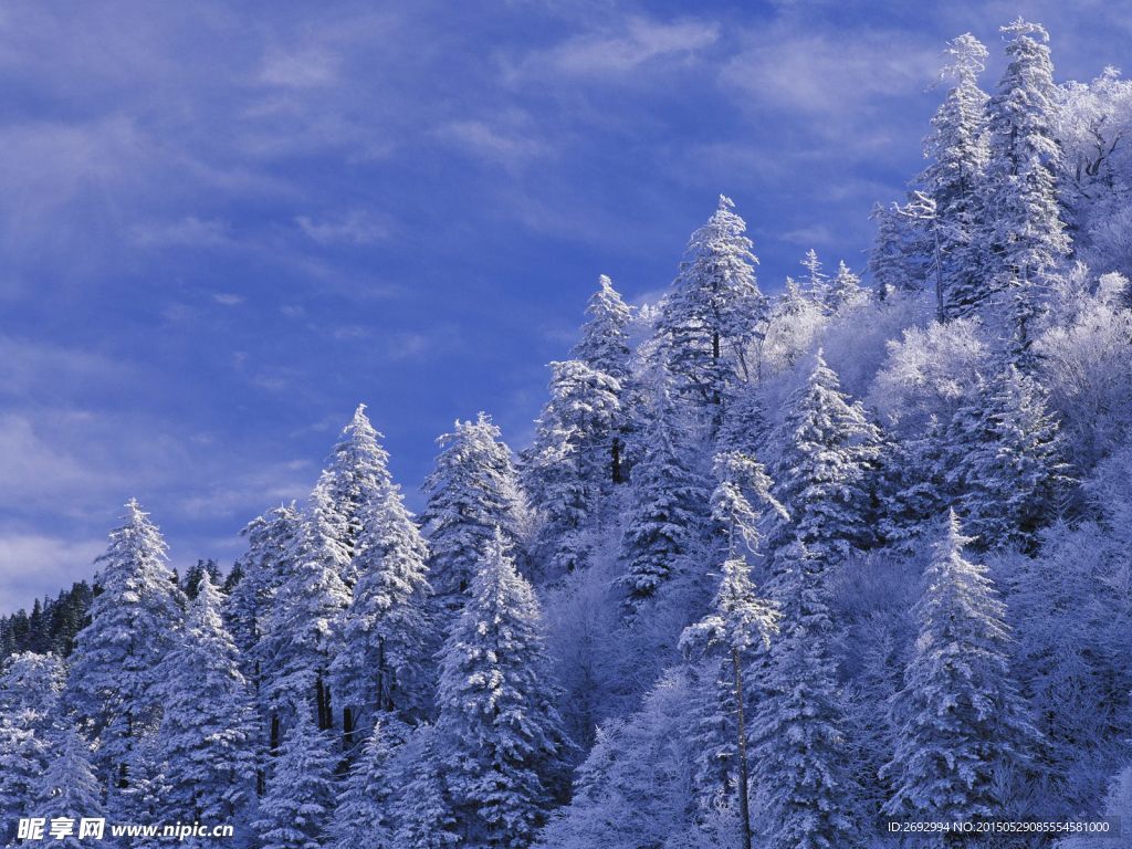 雪山雪景