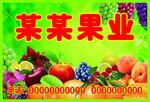 果业 果品 水果 水果标签