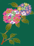 数码印花