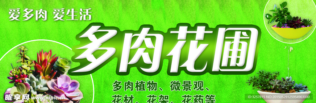 多肉花圃