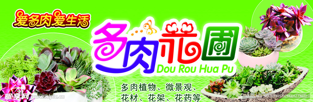 多肉花圃