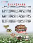春伦休闲农业观光园版面