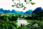 芳莲池全景