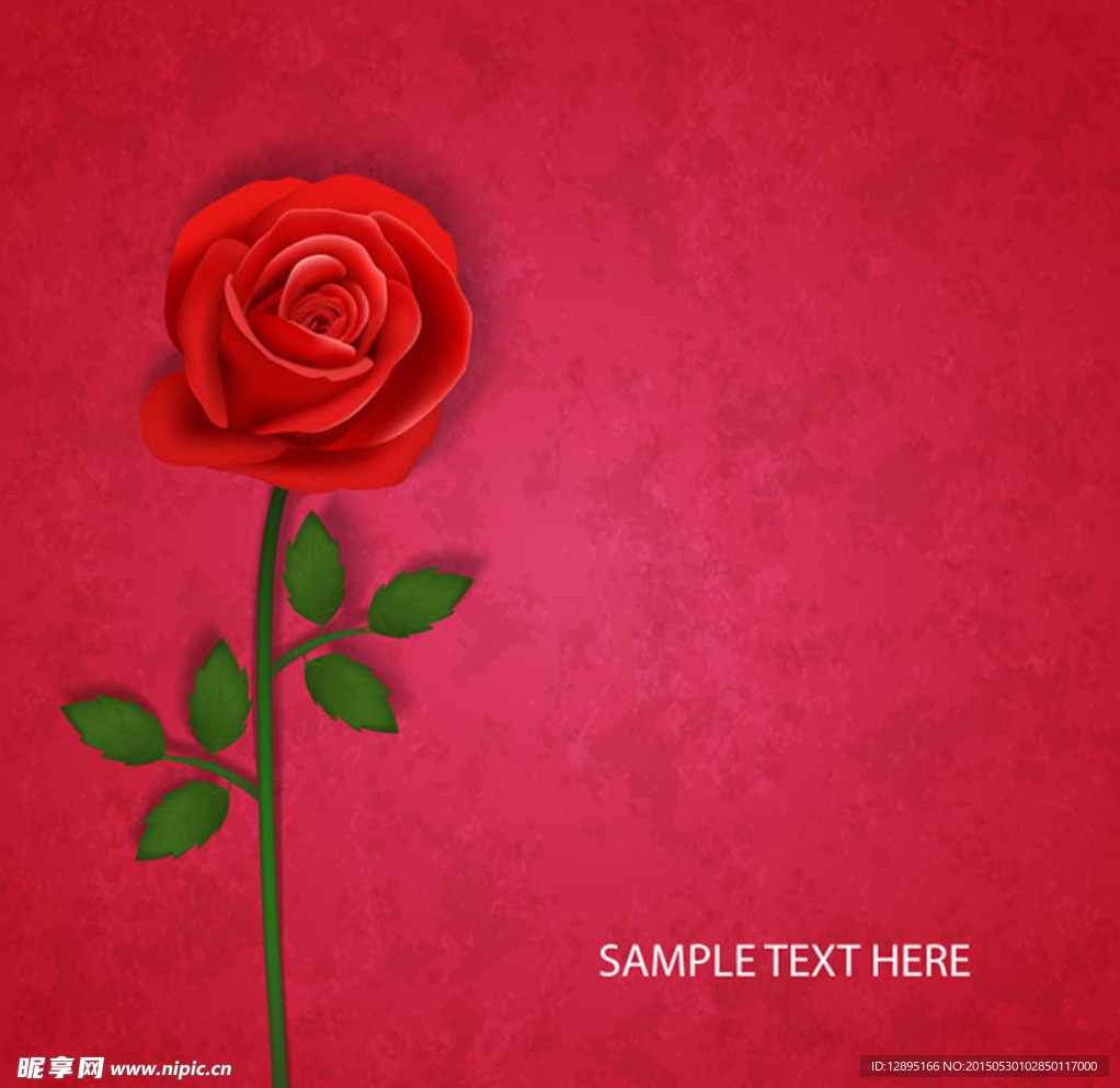 玫瑰花