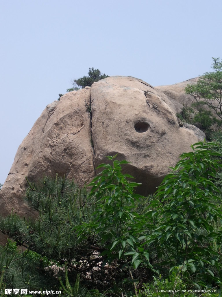 鲤鱼石
