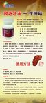 维迈牛樟菇