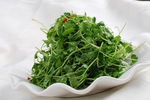 中华美食凉拌香菜