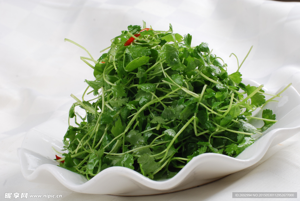 中华美食凉拌香菜