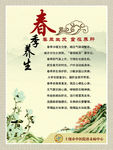 四季养生