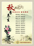 四季养生