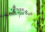 婚礼 森系 迎宾牌