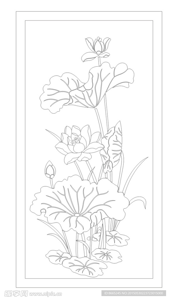 荷花