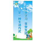 学校展板