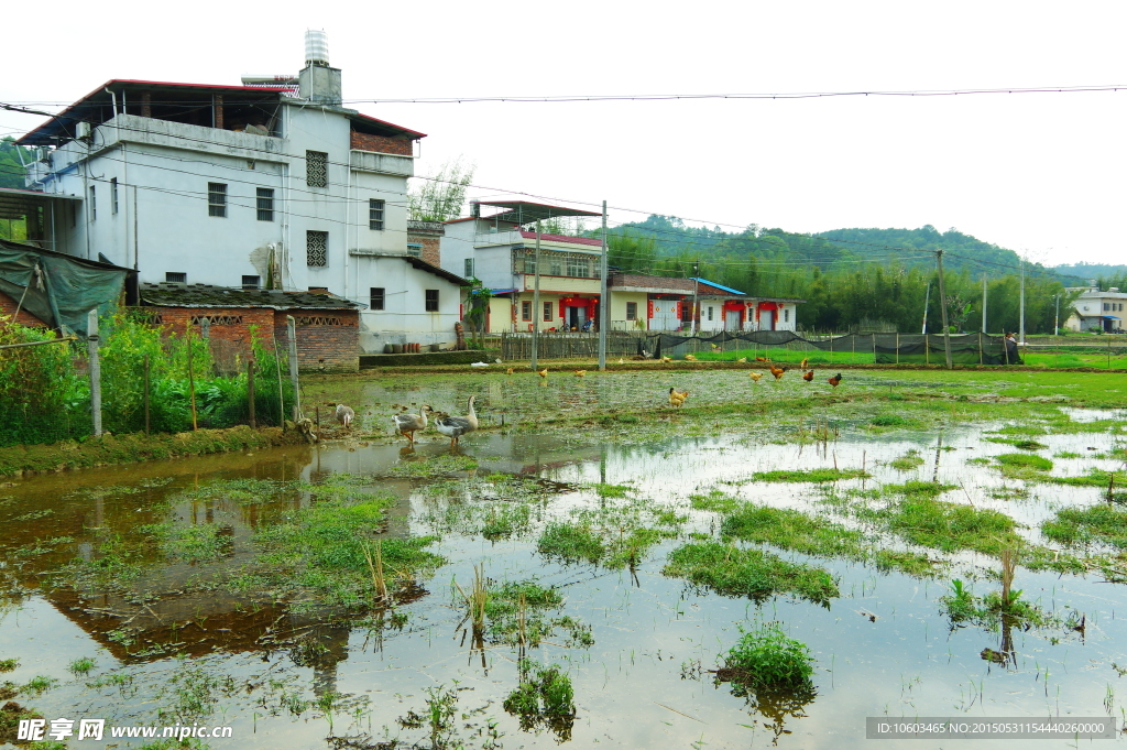 田园风光 乡村田园