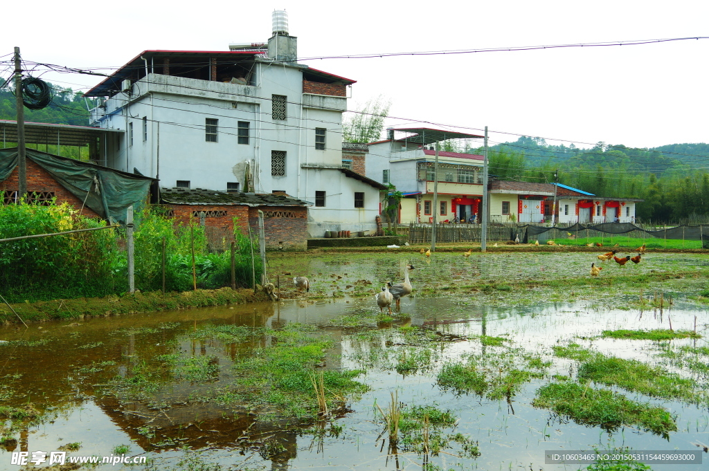 田园风光 乡村田园