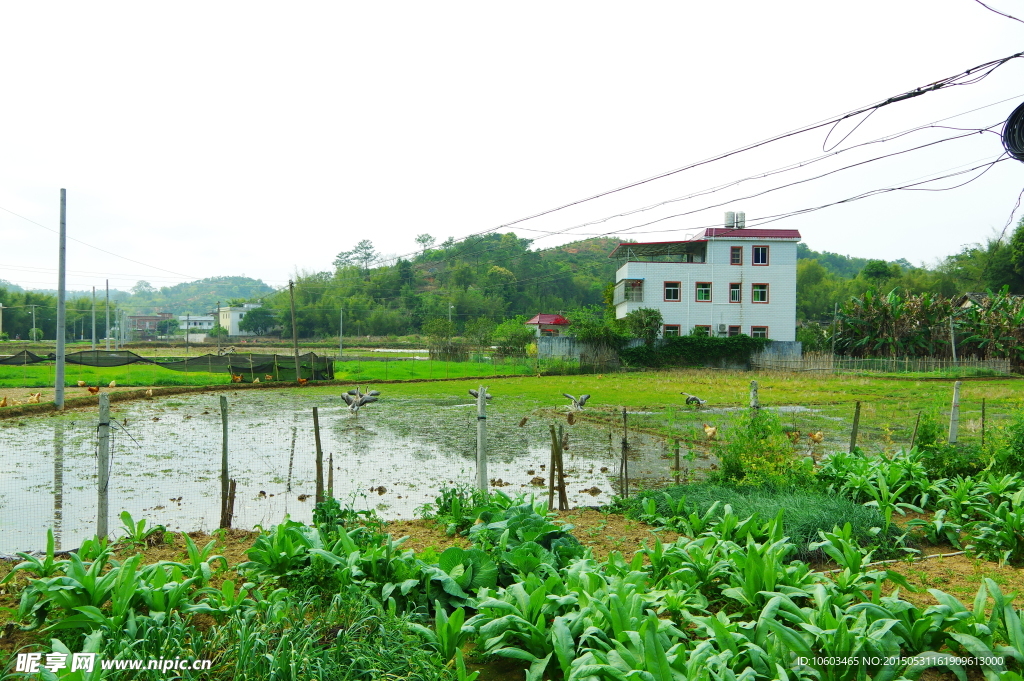 梅州风光