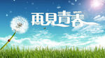 致青春海报