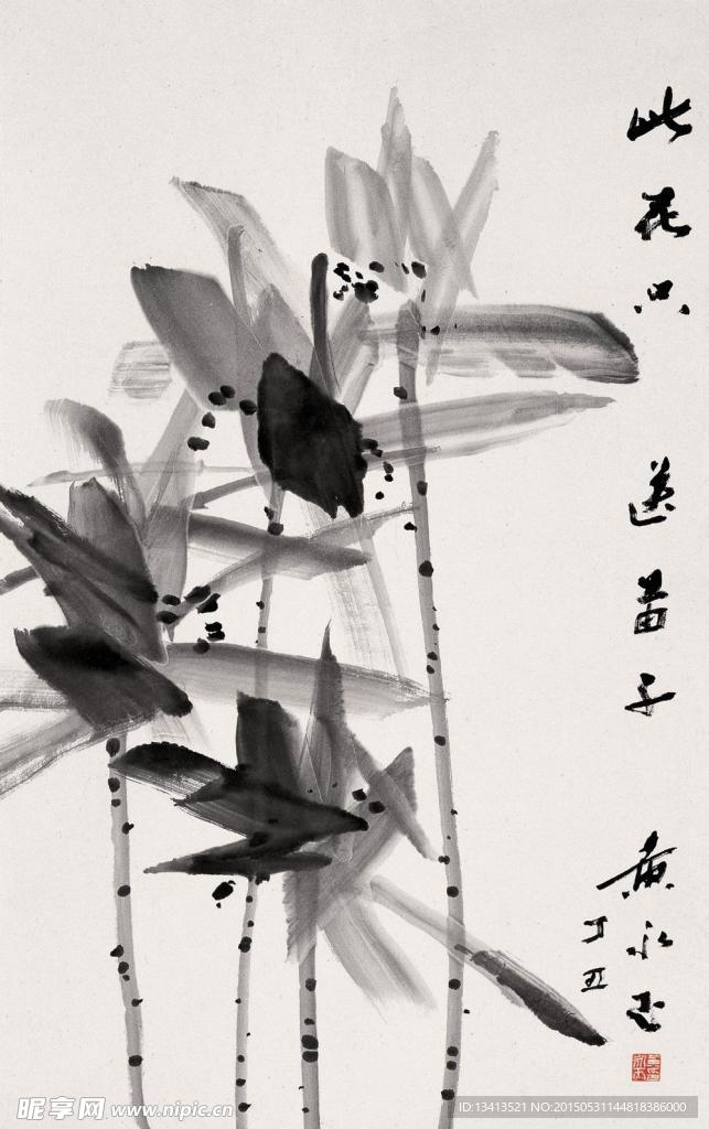 墨荷