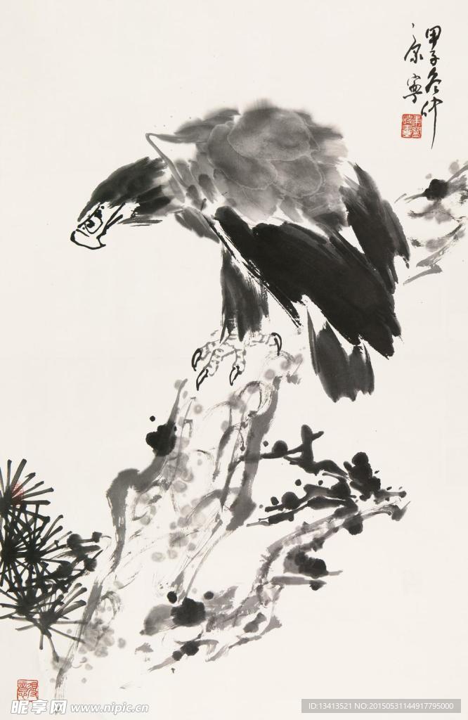 松鹰