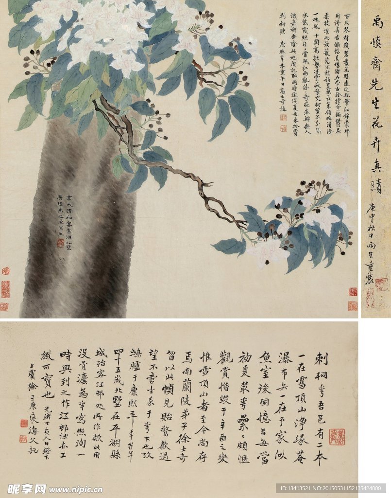 禹之鼎 刺桐花图
