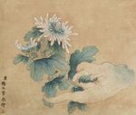 杨大章 菊花佛手