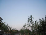 绿色风景