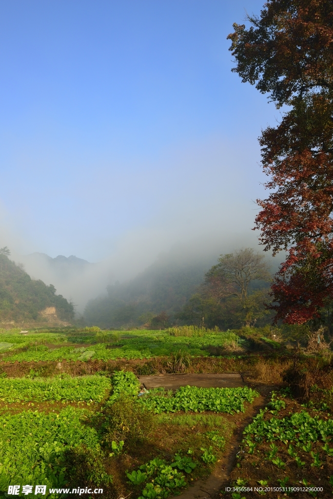 长溪村晨曦